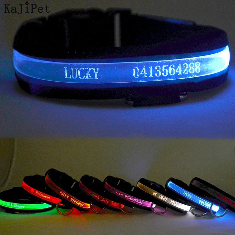 Custom Lettering Led Dog Collar Personalized Nylon Pet Dog Tag Collar Cat Adjustable Glowing Dog Collar Led Light Night Safety